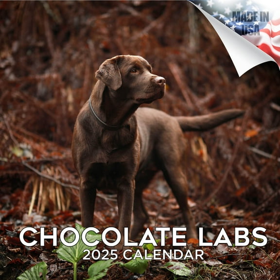 2025 2026 Chocolate Labrador Retriever Calendar - Dog Breed Monthly Wall Calendar - Thick No-Bleed Paper - Academic Teacher's Planner Calendar Organizing & Planning - Made in USA