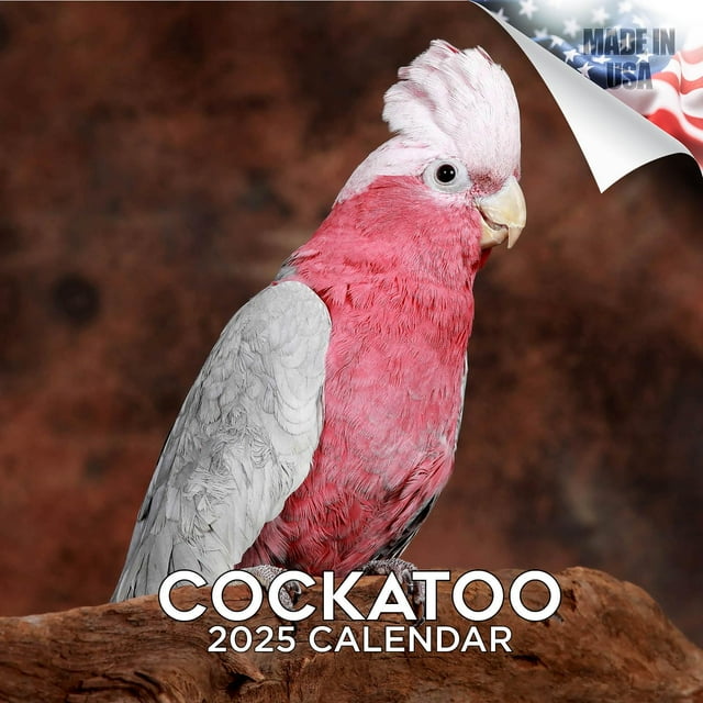 2024 2025 Cockatoos Calendar Monthly Wall Calendar 20242025 12 x
