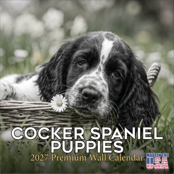 MegaCalendars 2026-2027 Cocker Spaniel Puppies Wall Calendar, 12x12 Bonus Month Monthly Planner, Made in USA