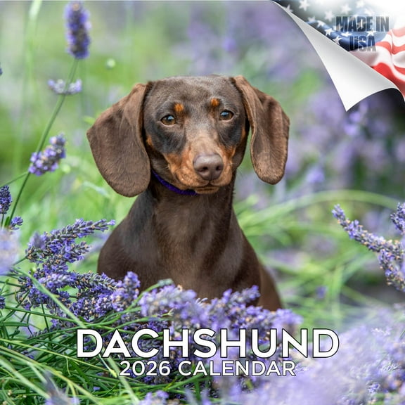 2025 2026 Dachshund Calendar - Dog Breed Monthly Wall Calendar - 12 x 24 Open - Thick No-Bleed Paper - Giftable - Academic Teacher's Planner Calendar Organizing & Planning - Made in USA