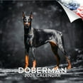 thumbnail image 1 of 2025 2026 Doberman Calendar - Dog Breed Monthly Wall Calendar - 12 x 24 Open - Thick No-Bleed Paper - Giftable - Academic Teacher's Planner Calendar Organizing & Planning - Made in USA, 1 of 9