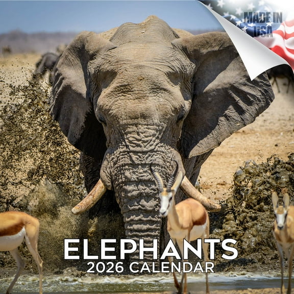 2025 2026 Elephants Calendar - African Wildlife Monthly Wall Calendar - 12 x 24 Open - Thick No-Bleed Paper - Giftable - Academic Teacher's Planner Calendar Organizing & Planning - Made in USA
