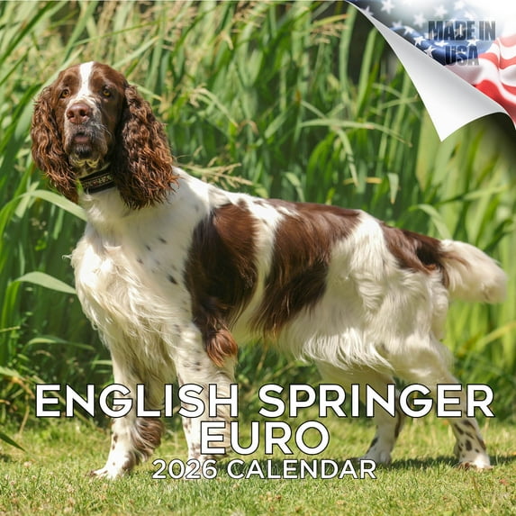 2025 2026 English Springer Calendar EU - Dog Breed Monthly Wall Calendar - 12 x 24 Open - Thick No-Bleed Paper - Giftable - Academic Teacher's Planner Calendar Organizing & Planning - Made in USA