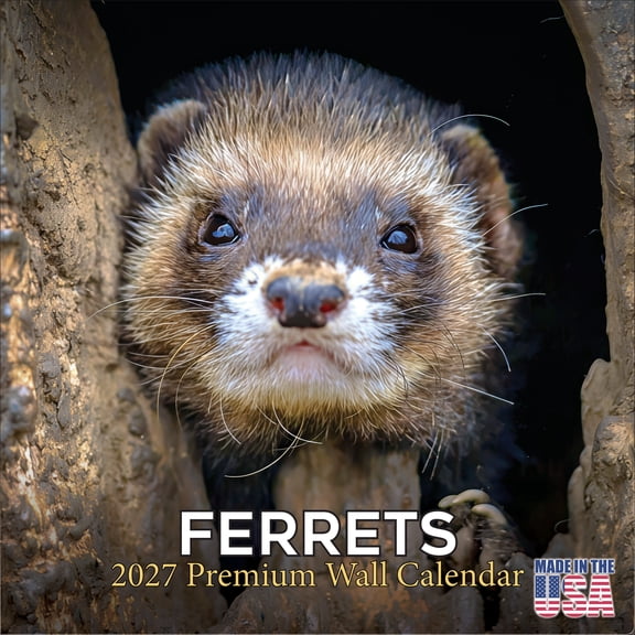 MegaCalendars 2026-2027 Ferrets Wall Calendar, 12x12 Bonus Month Small Pet Edition, Made in USA