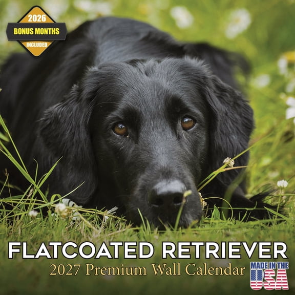 MegaCalendars 2026-2027 Flatcoated Retriever Wall Calendar, 12x12 Bonus Month Monthly Planner, Made in USA