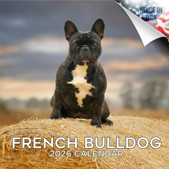 2025 2026 French Bulldog Calendar - Dog Breed Monthly Wall Calendar - 12 x 24 Open - Thick No-Bleed Paper - Giftable - Academic Teacher's Planner Calendar Organizing & Planning - Made in USA