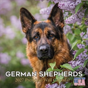 MegaCalendars 2026-2027 German Shepherd Wall Calendar, 12x12 Bonus Month Monthly Planner, Made in USA