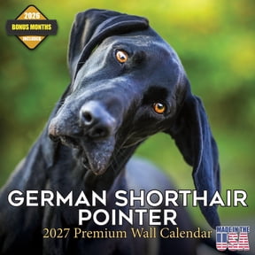 MegaCalendars 2026-2027 German Shorthair Pointer Wall Calendar, 12x12 Bonus Month Monthly Planner, Made in USA