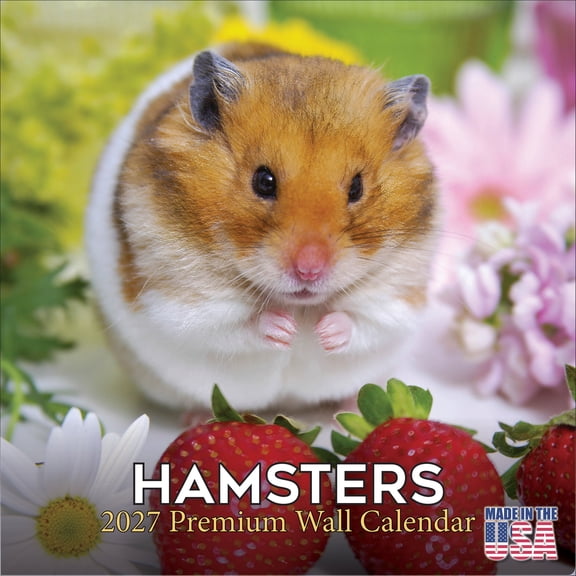MegaCalendars 2026-2027 Hamsters Wall Calendar, 12x12 Bonus Month Small Pet Edition, Made in USA