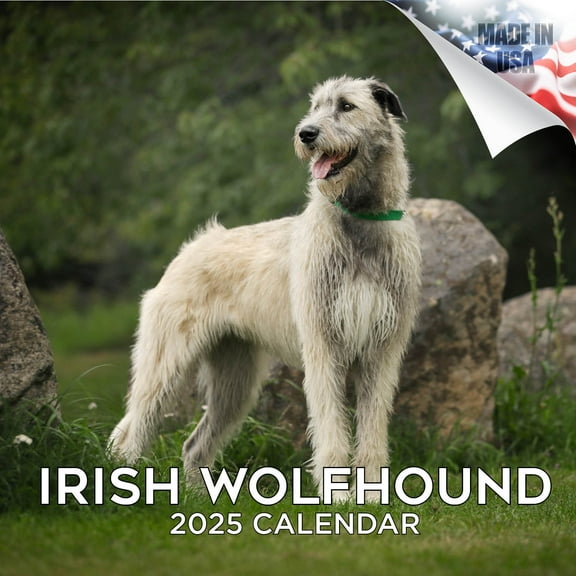 2025 2026 Irish Wolfhound Calendar - Dog Breed Monthly Wall Calendar - 12 x 24 Open - Thick No-Bleed Paper - Giftable - Academic Teacher's Planner Calendar Organizing & Planning - Made in USA