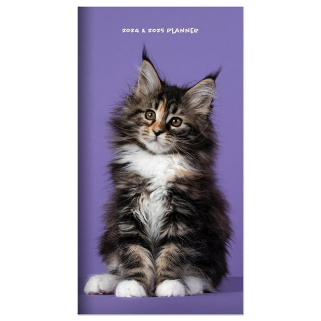 20242025 Kitten Small Monthly Pocket Planner