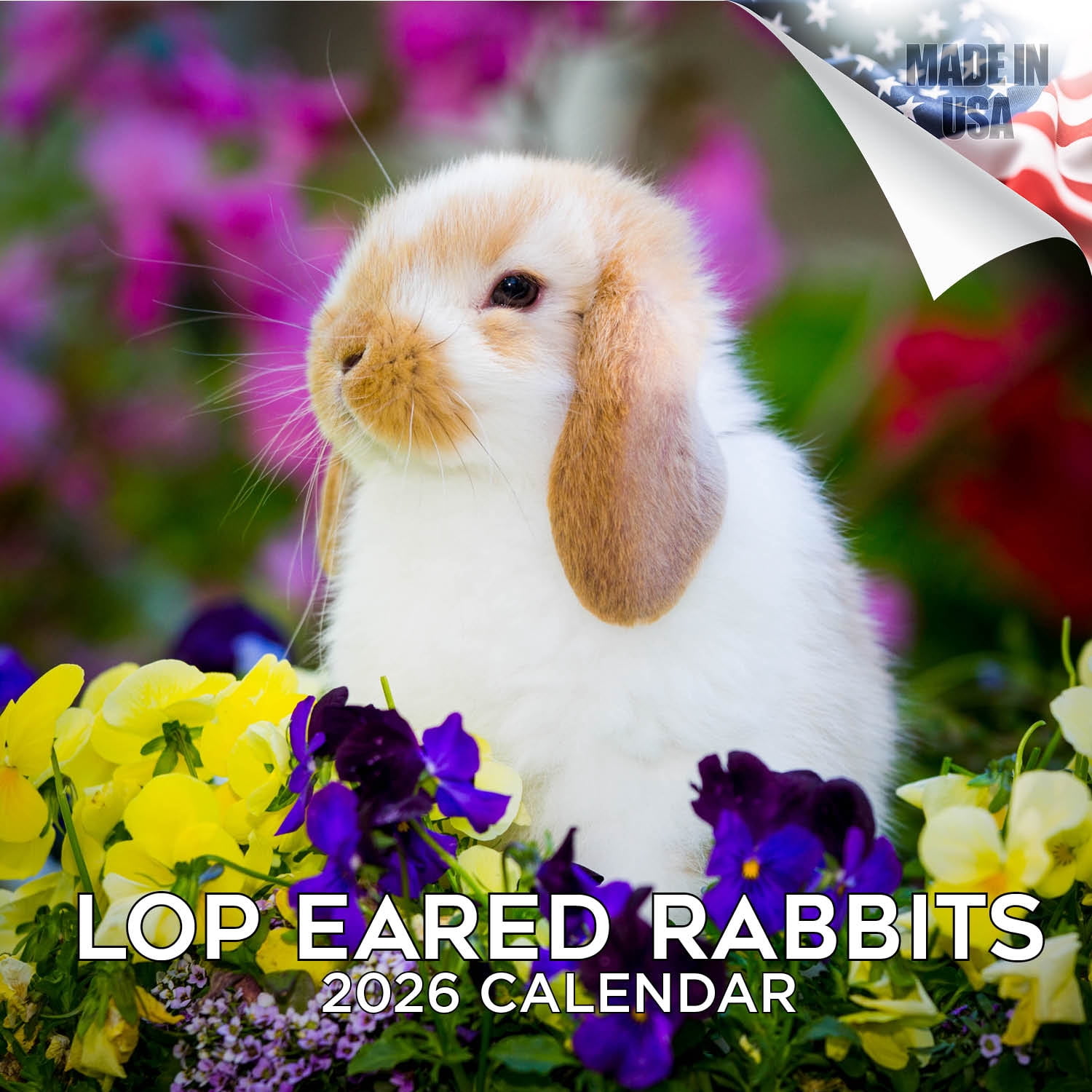 2025 2026 Lop Eared Rabbit Calendar - Cute Animal Monthly Wall Calendar ...