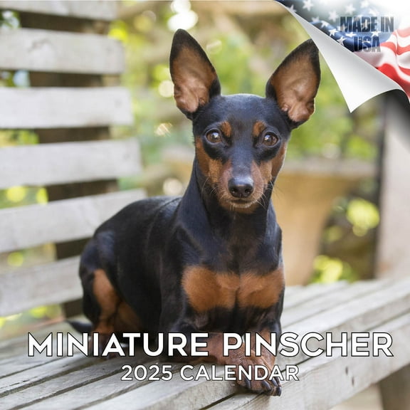 2025 2026 Miniature Pinscher Calendar - Dog Breed Monthly Wall Calendar - 12 x 24 Open - Thick No-Bleed Paper - Giftable - Academic Teacher's Planner Calendar Organizing & Planning - Made in USA
