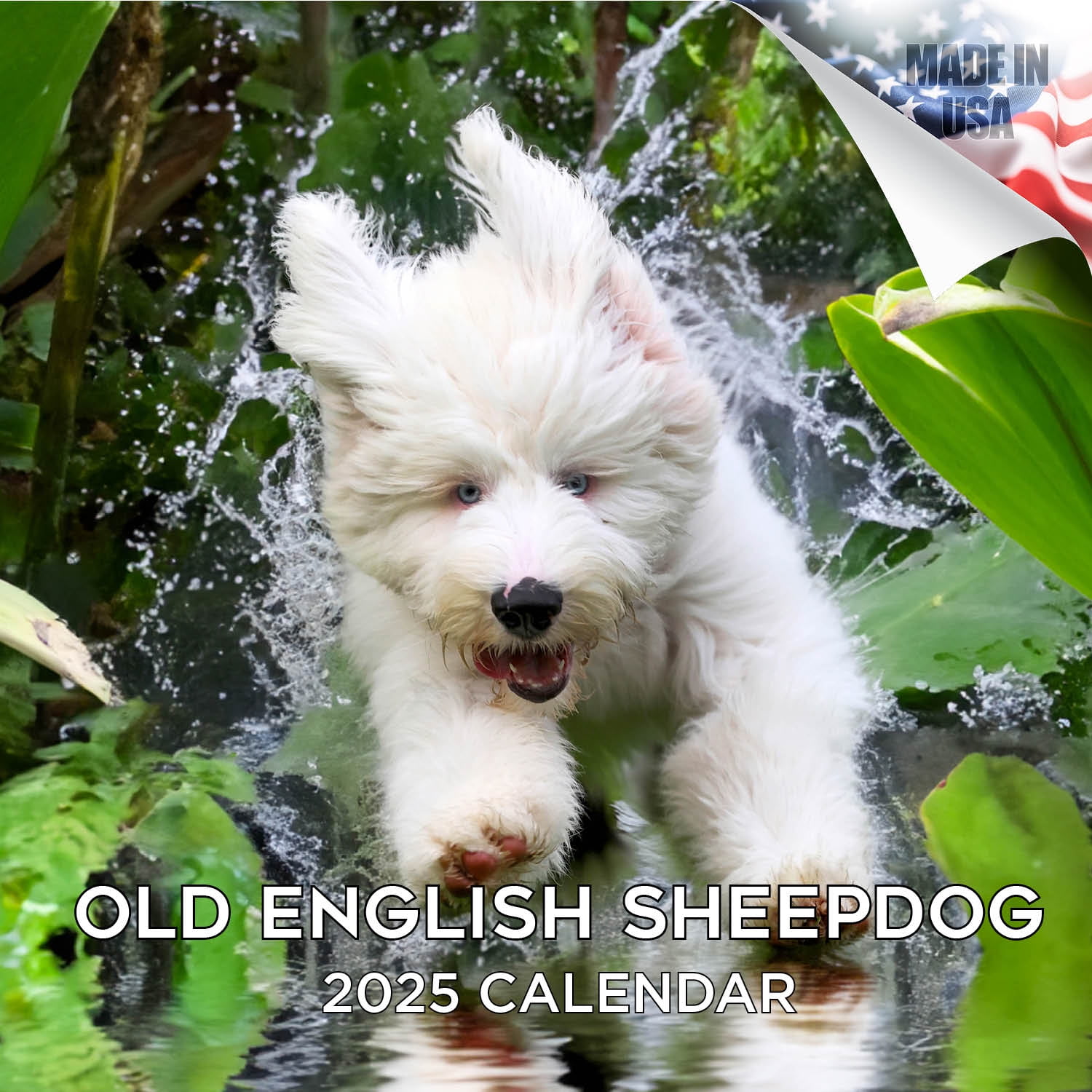 2024 2025 Old English Sheepdog Calendar Dog Breed Monthly Wall
