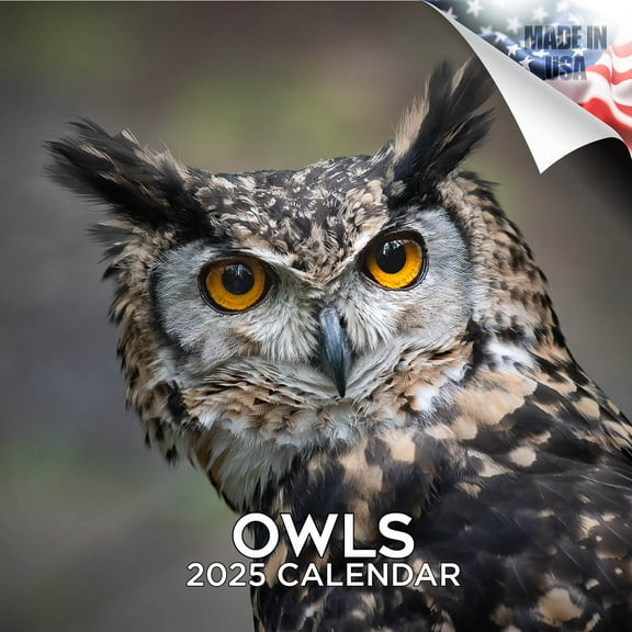 2025 2026 Owls Calendar - Wildlife Monthly Wall Calendar - 12 x 24 Open - Thick No-Bleed Paper - Giftable - Academic Teacher's Planner Calendar Organizing & Planning - Made in USA