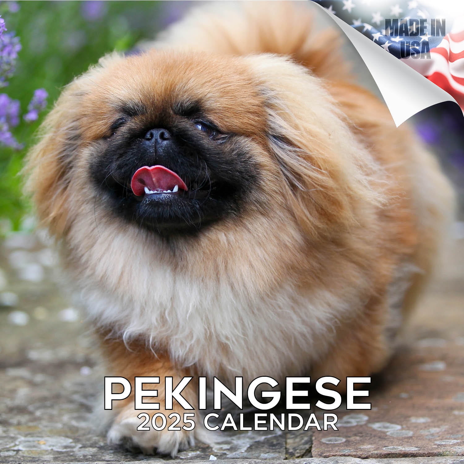 2024 2025 Pekingese Calendar Dog Breed Monthly Wall Calendar 12 x