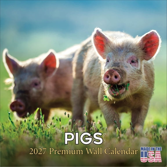 MegaCalendars 2026-2027 Pigs Wall Calendar, 12x12 Bonus Month Farm Animal Edition, Made in USA
