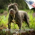 thumbnail image 1 of 2025 2026 Pitbull Calendar - Dog Breed Monthly Wall Calendar - American Pitbulls Calendar - Made In USA - 12 x 24 Open - Academic Teacher's Planner Calendar for Organizing & Planning - Made in USA, 1 of 10