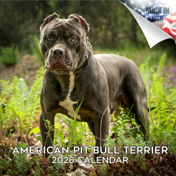 2025 2026 Pitbull Calendar - Dog Breed Monthly Wall Calendar - American Pitbulls Calendar - Made In USA - 12 x 24 Open - Academic Teacher's Planner Calendar for Organizing & Planning - Made in USA