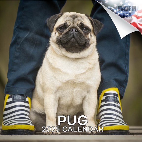 2025 2026 Pug Calendar - Dog Breed Monthly Wall Calendar - 12 x 24 Open - Thick No-Bleed Paper - Giftable - Academic Teacher's Planner Calendar Organizing & Planning - Made in USA