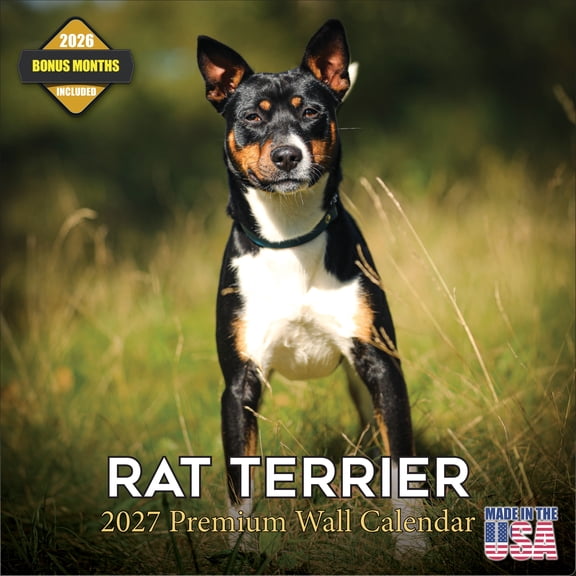 MegaCalendars 2026-2027 Rat Terrier Wall Calendar, 12x12 Bonus Month Monthly Planner, Made in USA