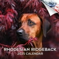 2024 2025 Rhodesian Ridgeback Calendar Dog Breed Monthly Wall