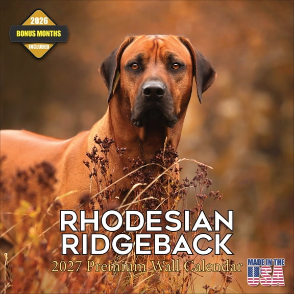 MegaCalendars 2026-2027 Rhodesian Ridgeback Wall Calendar, 12x12 Bonus Month Monthly Planner, Made in USA