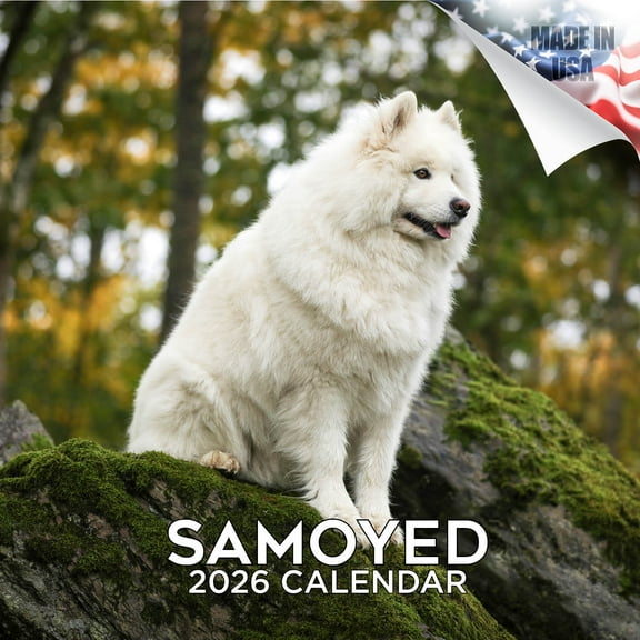 2025 2026 Samoyed Calendar - Dog Breed Monthly Wall Calendar - 12 x 24 Open - Thick No-Bleed Paper - Giftable - Academic Teacher's Planner Calendar Organizing & Planning - Made in USA