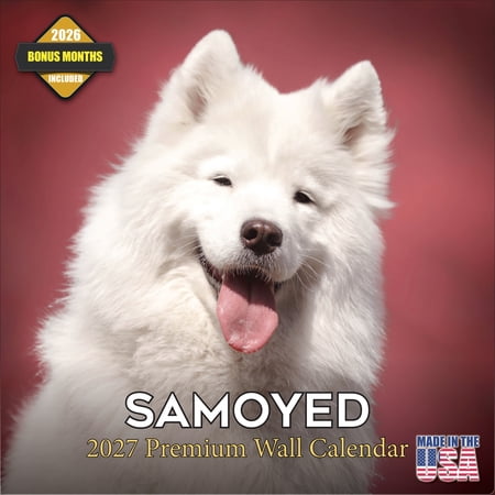 MegaCalendars 2026-2027 Samoyed Wall Calendar, 12x12 Bonus Month Monthly Planner, Made in USA