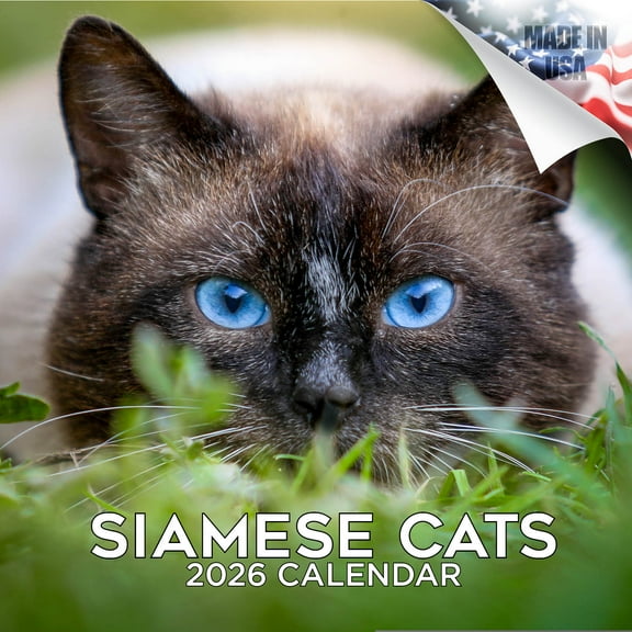 2025 2026 Cats Calendar - Cute Animal Monthly Wall Calendar - 12 x 24 Open - Thick No-Bleed Paper - Giftable - Academic Teacher's Planner Calendar Organizing & Planning - Made in USA