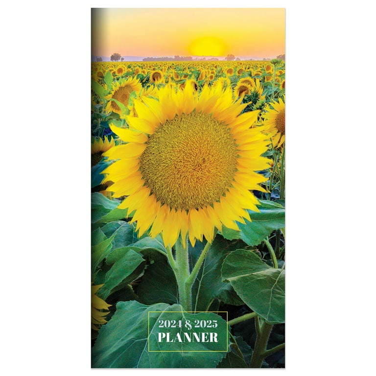 Walmart Pocket Calendars 2025 2025 Eryn Odilia