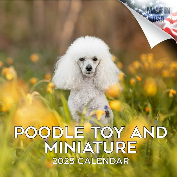 2025 2026 Toy Poodle Calendar - Dog Breed Monthly Wall Calendar - 12 x 24 Open - Thick No-Bleed Paper - Giftable - Academic Teacher's Planner Calendar Organizing & Planning - Made in USA