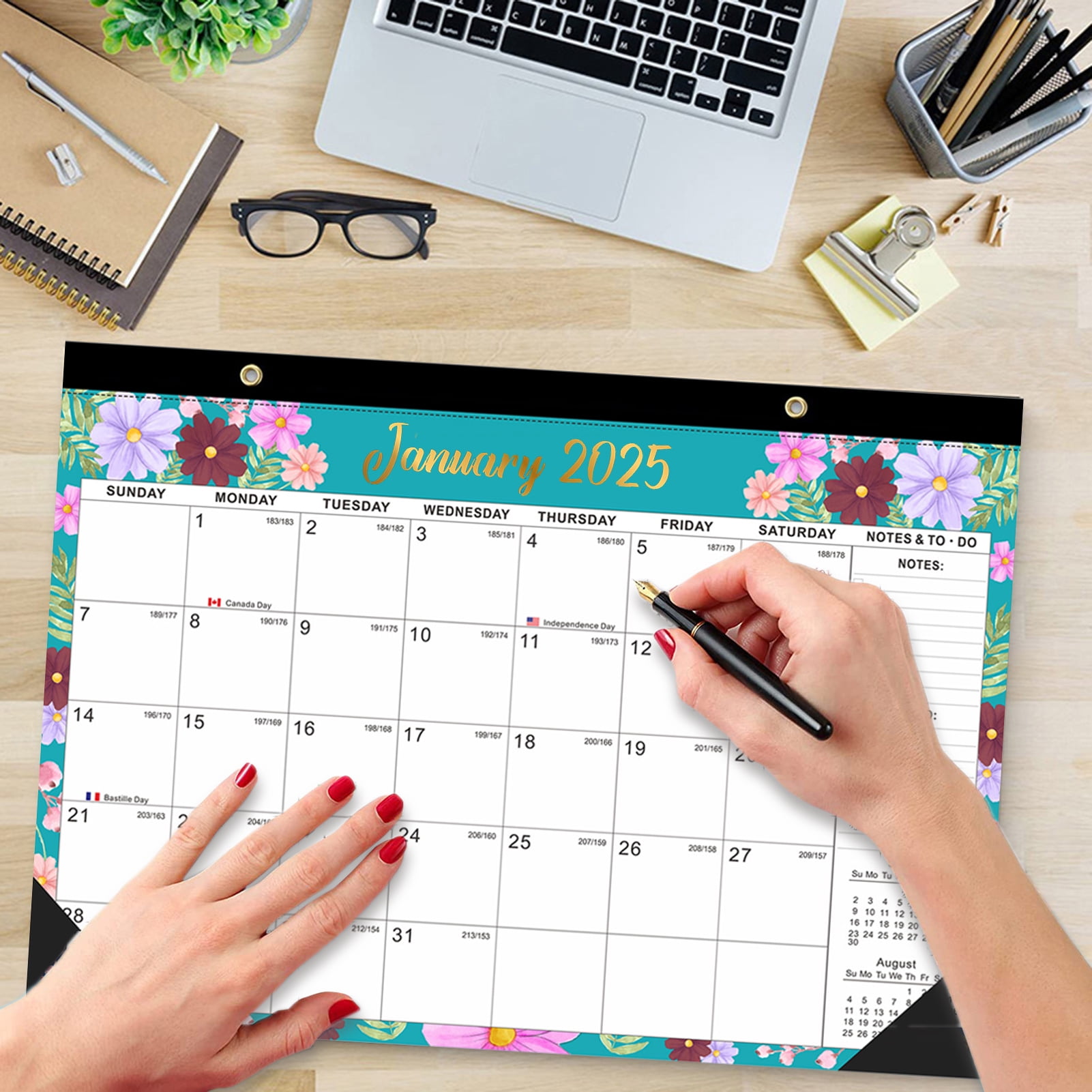 20242025 Wall Calendar July 2024 to December 2025 Hanging Calendar