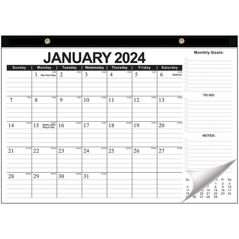 12 X 17 Wall Calendar 2025 myra courtney