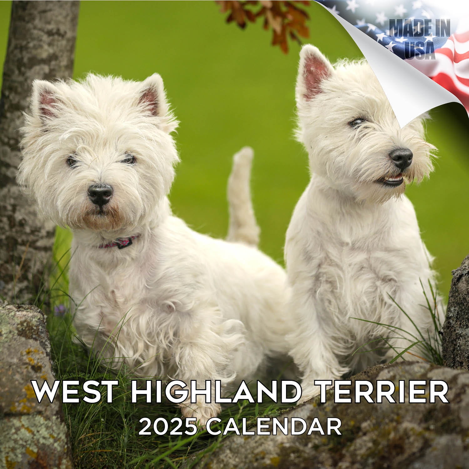 2025 2026 West Highland Terrier Calendar - Dog Breed Monthly Wall ...