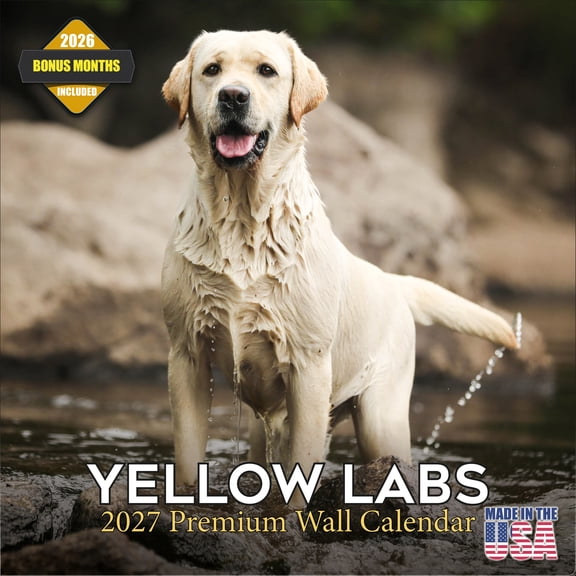MegaCalendars 2026-2027 Yellow Labrador Wall Calendar, 12x12 Bonus Month Monthly Planner, Made in USA