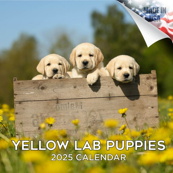 2025 2026 Yellow Labrador Retriever Puppies Calendar - Dog Breed Monthly Wall Calendar - 12 x 24 Open - Thick No-Bleed Paper - Giftable - Academic Teacher's Planner Calendar Organizing - Made in USA