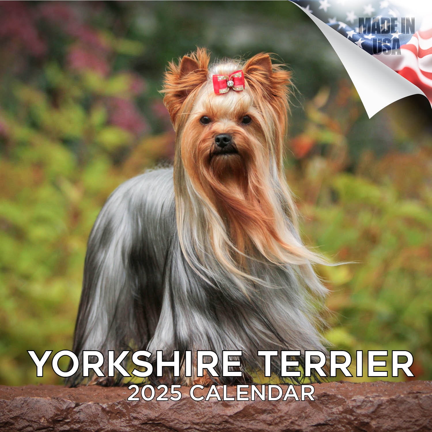 2024 2025 Yorkshire Terrier Calendar Dog Breed Monthly Wall Calendar