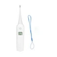 2024 Animal Electronic Ehermometer Rectal Thermometer Temperature