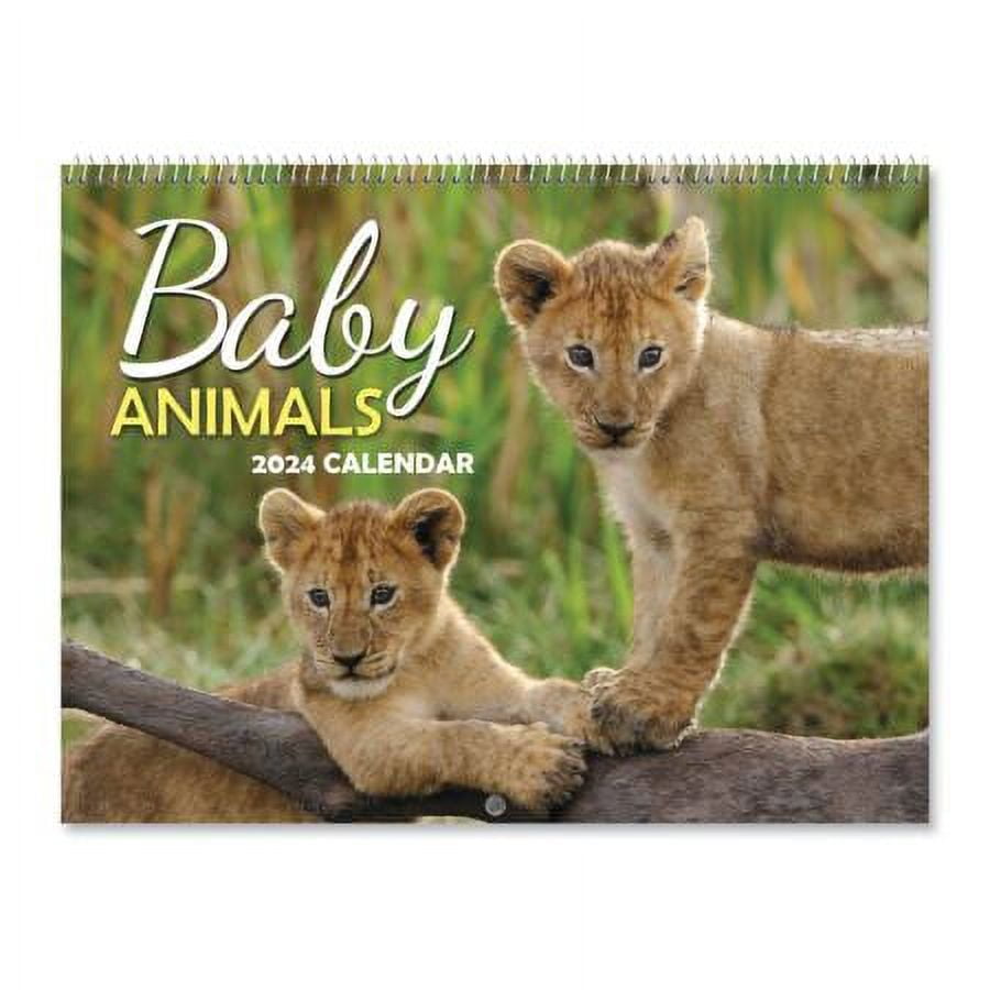 2024 Baby Animals Wall Calendar, 12" x 9" (Closed), Bookstore Quality