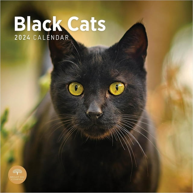 2024 Black Cats Monthly Wall Calendar by Bright Day, 12 x 12 Inch Cute ...