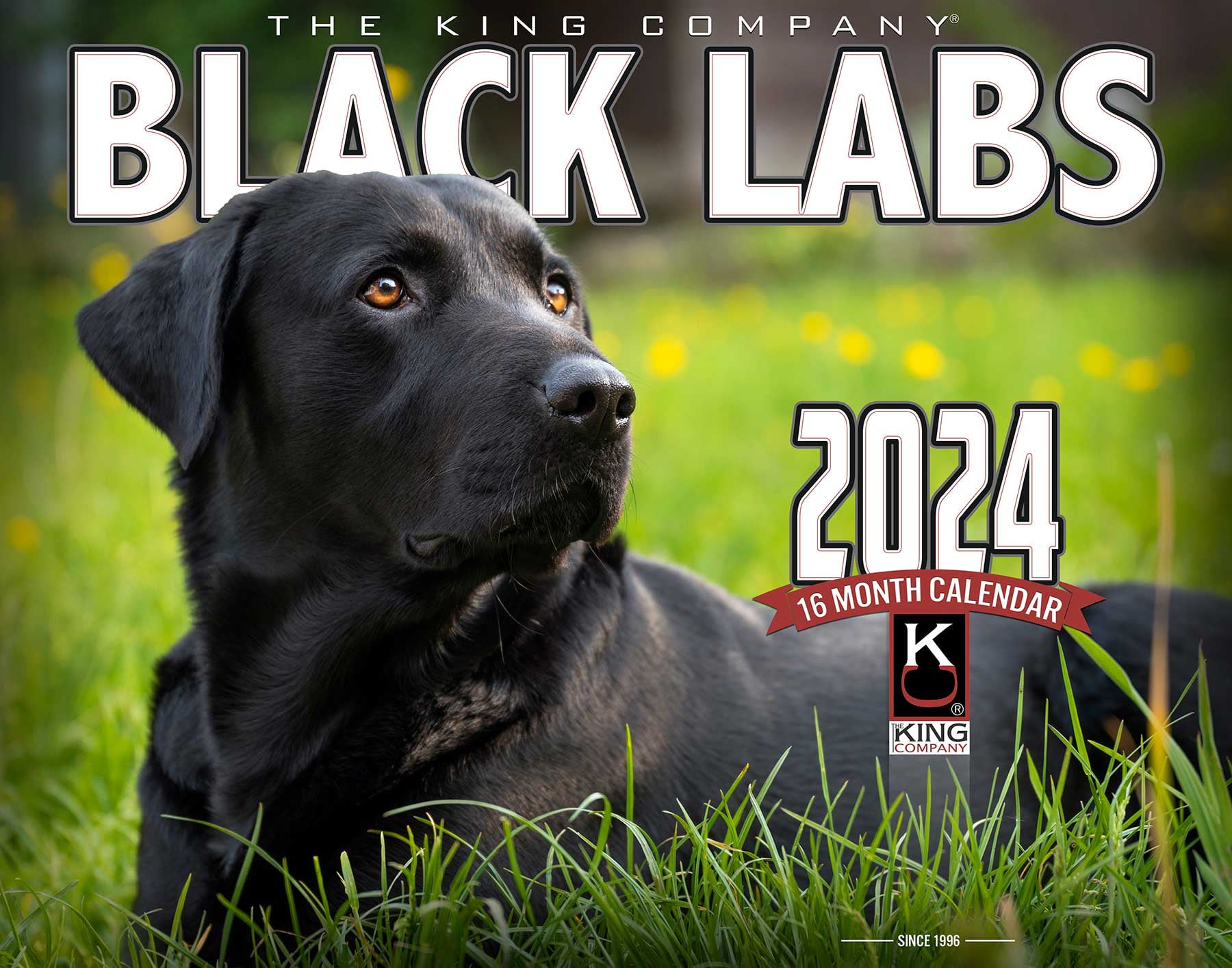 2025 Black Labrador Dog Wall Calendar 16Month XLarge Size 14x22, Best