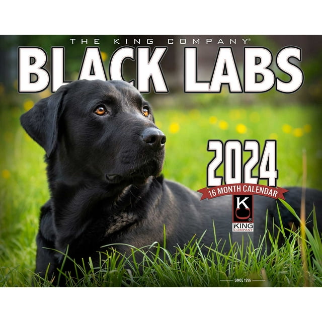 2024 Black Labrador Dog Wall Calendar 16Month XLarge Size 14x22, Best
