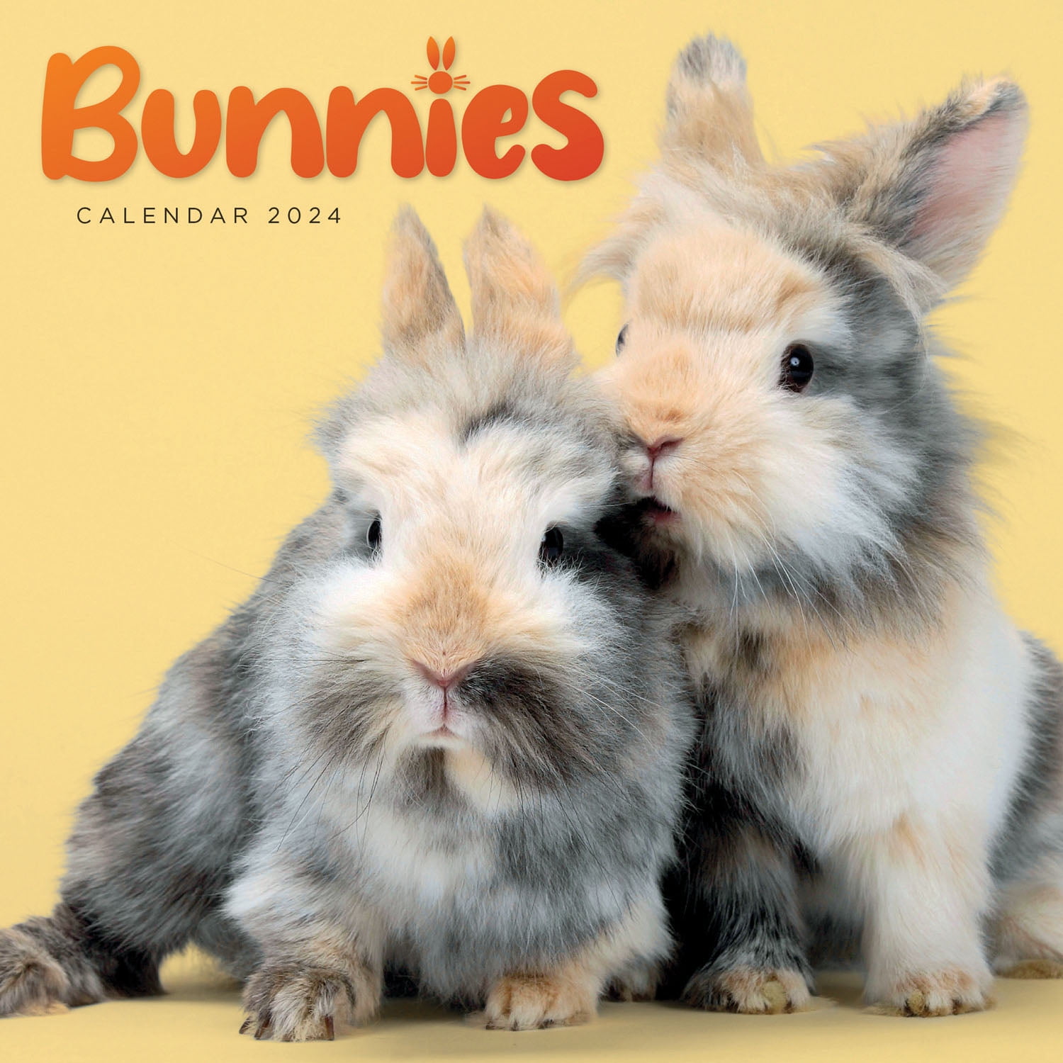 2024 Bunnies Mini Wall Calendar (Calendar)
