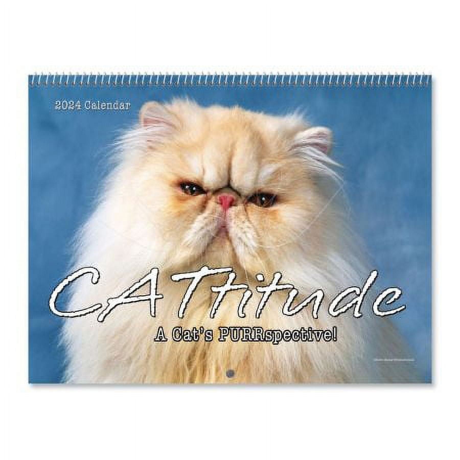 2024 CATtitude Wall Calendar, 12" x 9" (closed), Bookstore Quality