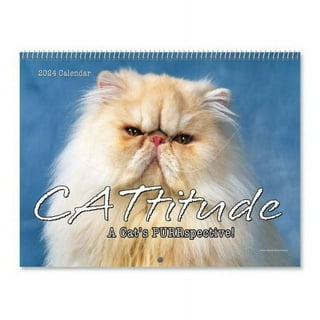  Angry Cat Pocket Planner: Angry Cat Small Pocket Appointment  Planner, with Contacts List and Password Log and More