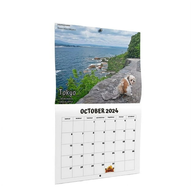 2025 Calendar Wall Calendar January 2025 From December 11x8.5 Inch Wall