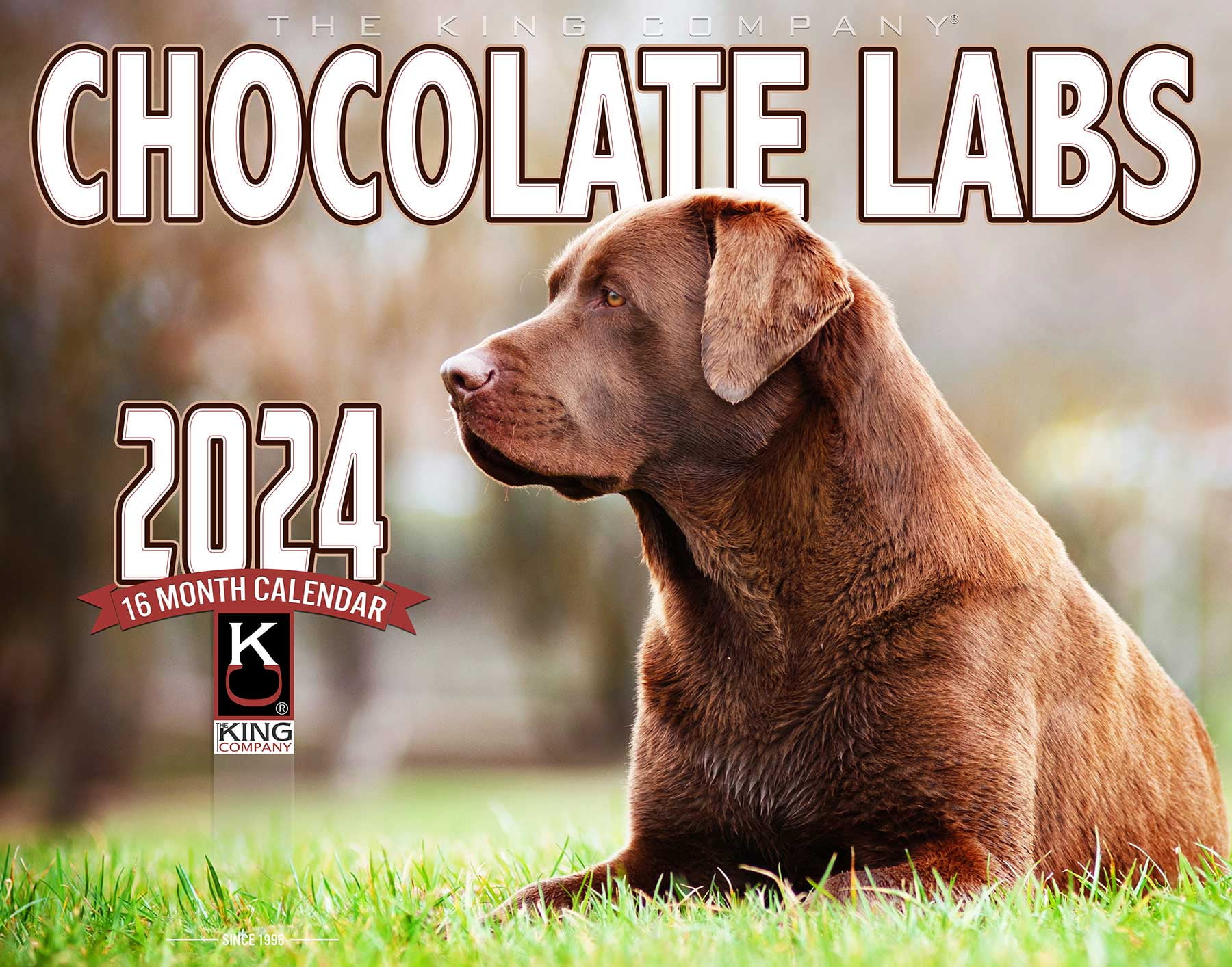 2024 Chocolate Labrador Dog Wall Calendar 16 Month X Large Size 14x22   2024 Chocolate Labrador Dog Wall Calendar 16 Month X Large Size 14x22 Best Chocolate Lab Dog Calendar By The KING Company Monster Calendars E34f0cea C75e 4a31 8cd9 A1d88d2ea15a.47ded0993c41d692ac06b66496b16002 