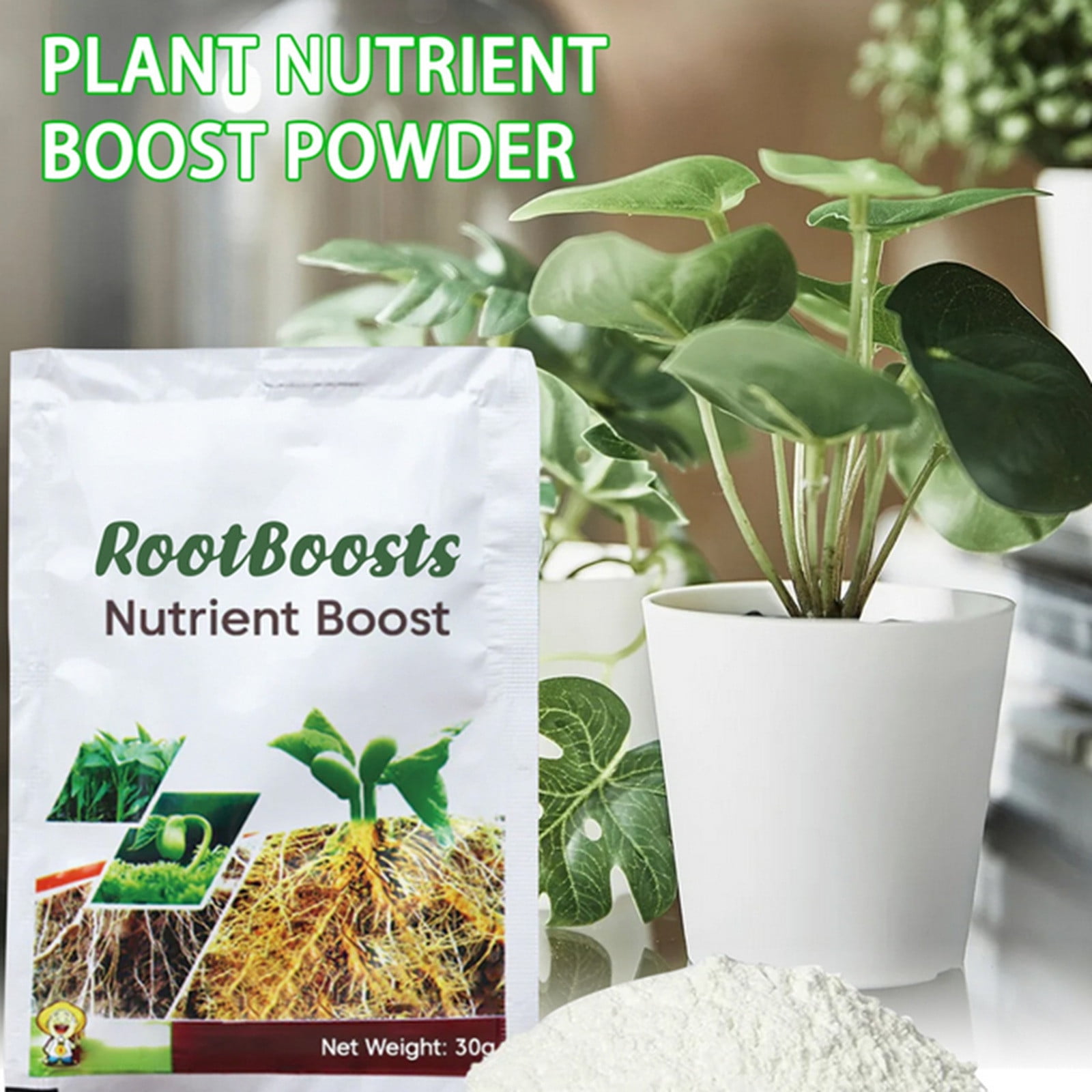 2024 Clearance Nutritional Powder Succulent Green Robe Flower Potted