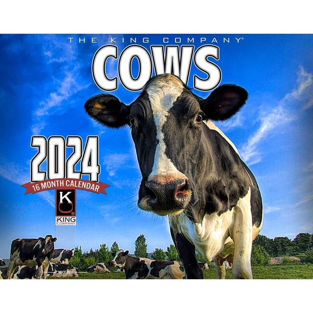 2024 Cows Wall Calendar 16Month XLarge Size 14x22, Best Farm Cows Calendar by The KING Company